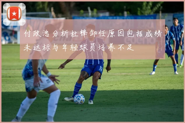 付政浩分析杜锋卸任原因包括成绩未达标与年轻球员培养不足
