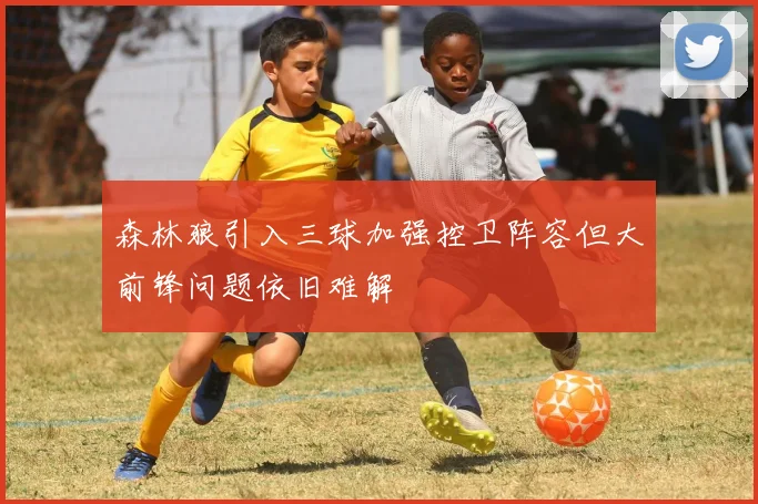 森林狼引入三球加强控卫阵容但大前锋问题依旧难解